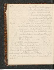 Seite 72, Tagebuch "Palästina (Tagebuch)" (NHMW-PRAE-BBB-80)